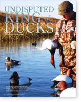 King of Ducks